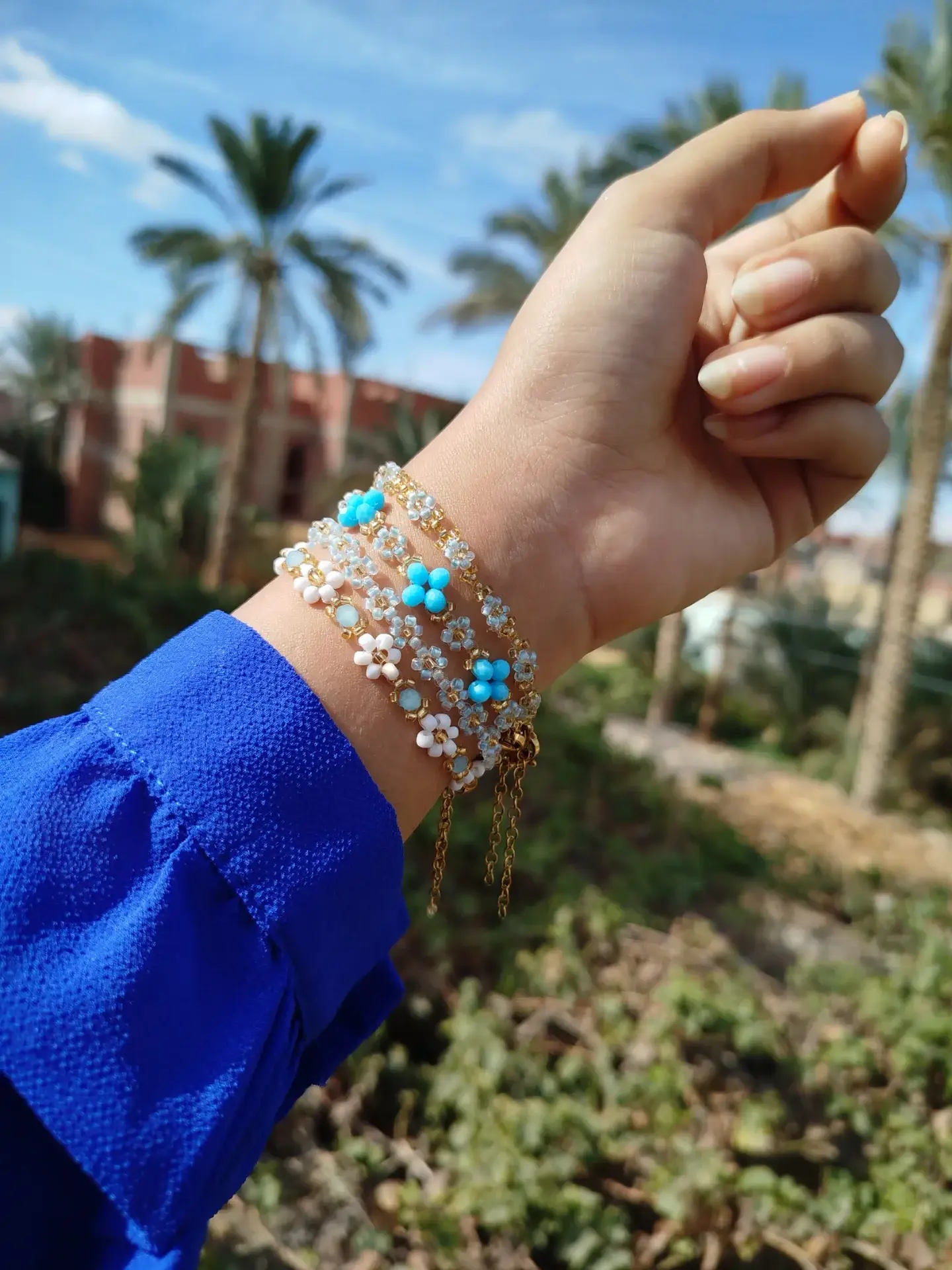 سكايلا